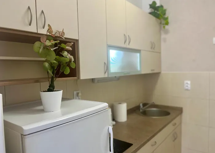 Tik-tak Center * Novi Sad